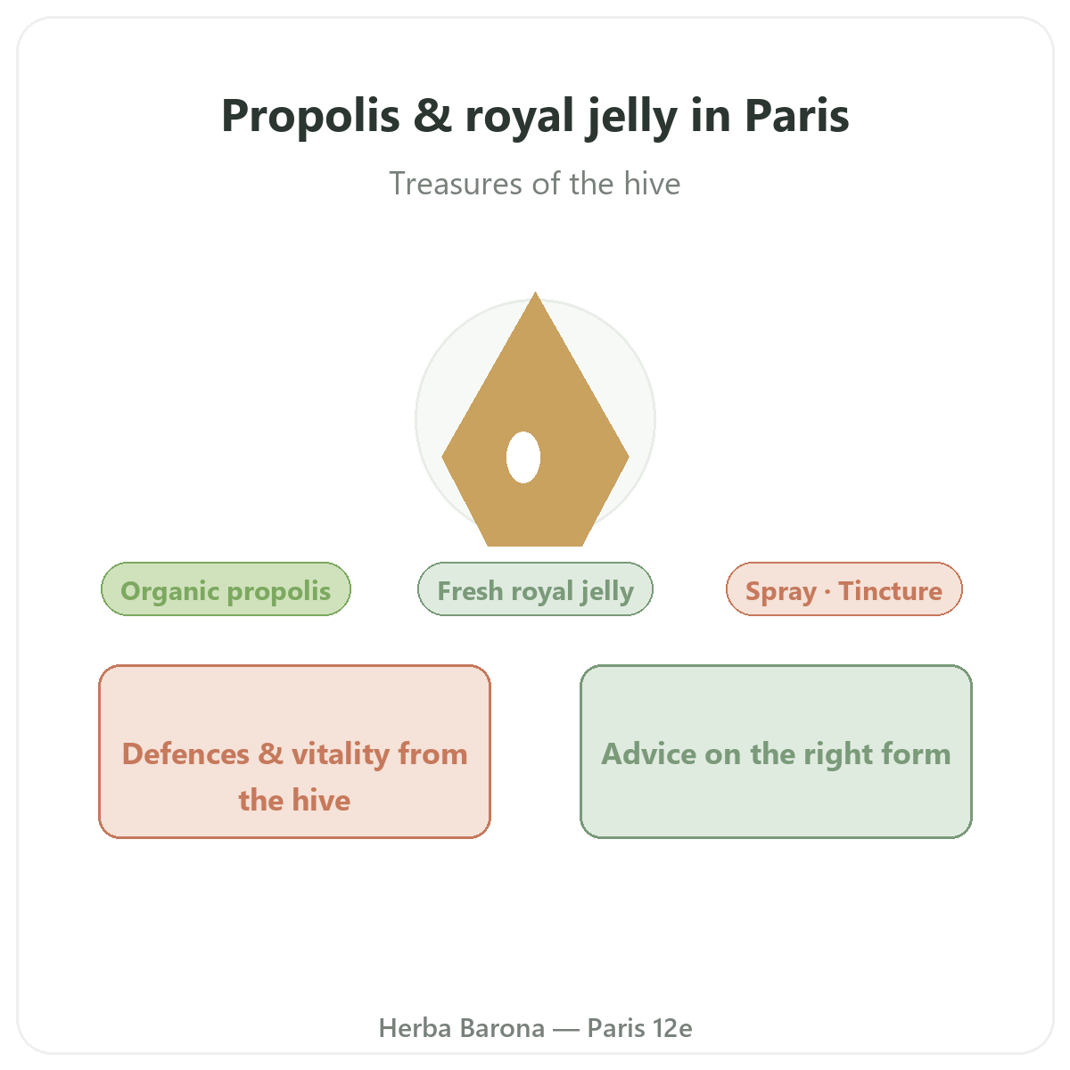 Propolis and royal jelly in Paris - brand overview at Herba Barona Paris 12th