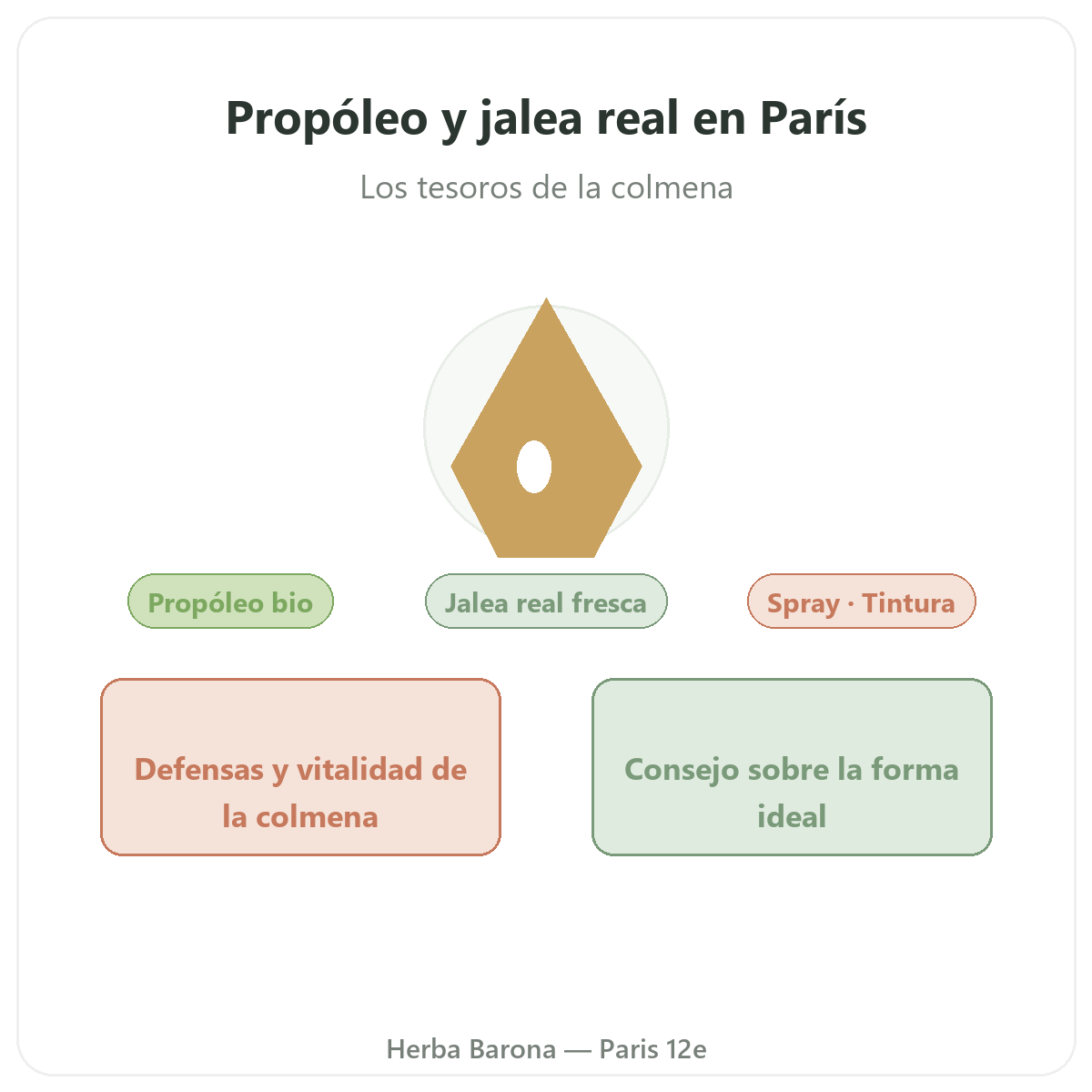 Propóleo y jalea real fresca en París - presentación de la marca en Herba Barona París 12e