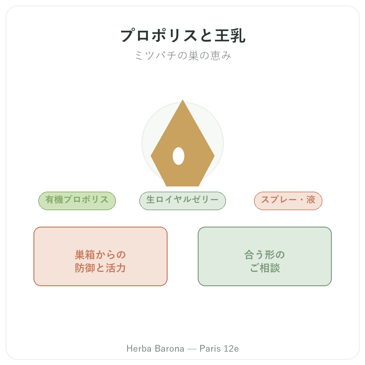 プロポリス・ローヤルゼリー パリ - Herba Baronaパリ12区でのブランド紹介