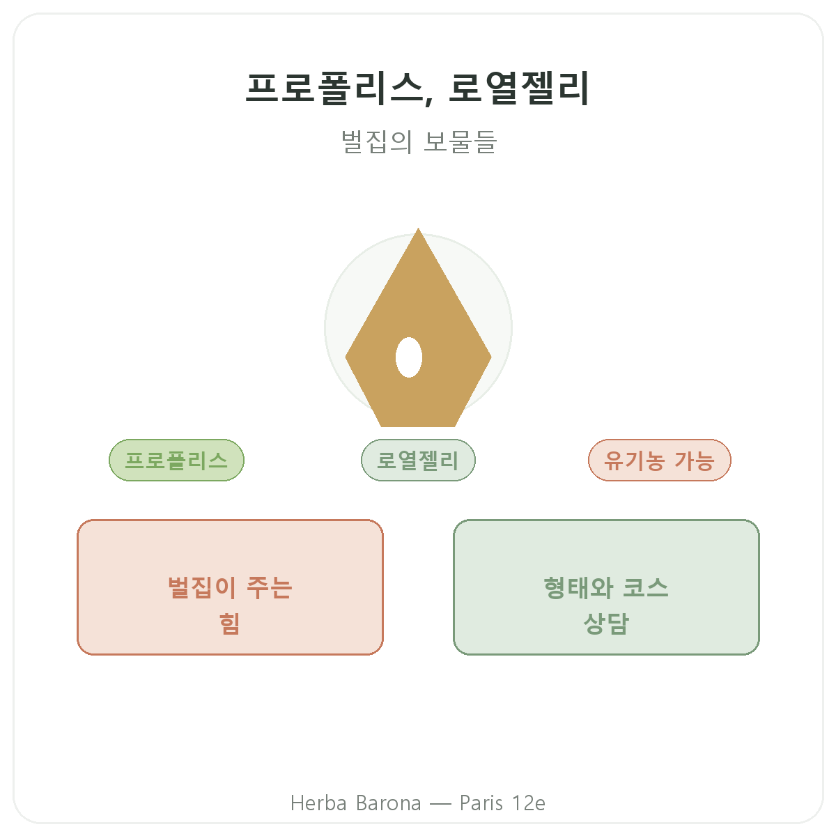 프로폴리스 생로얄젤리 파리 - Herba Barona 파리 12구 브랜드 소개