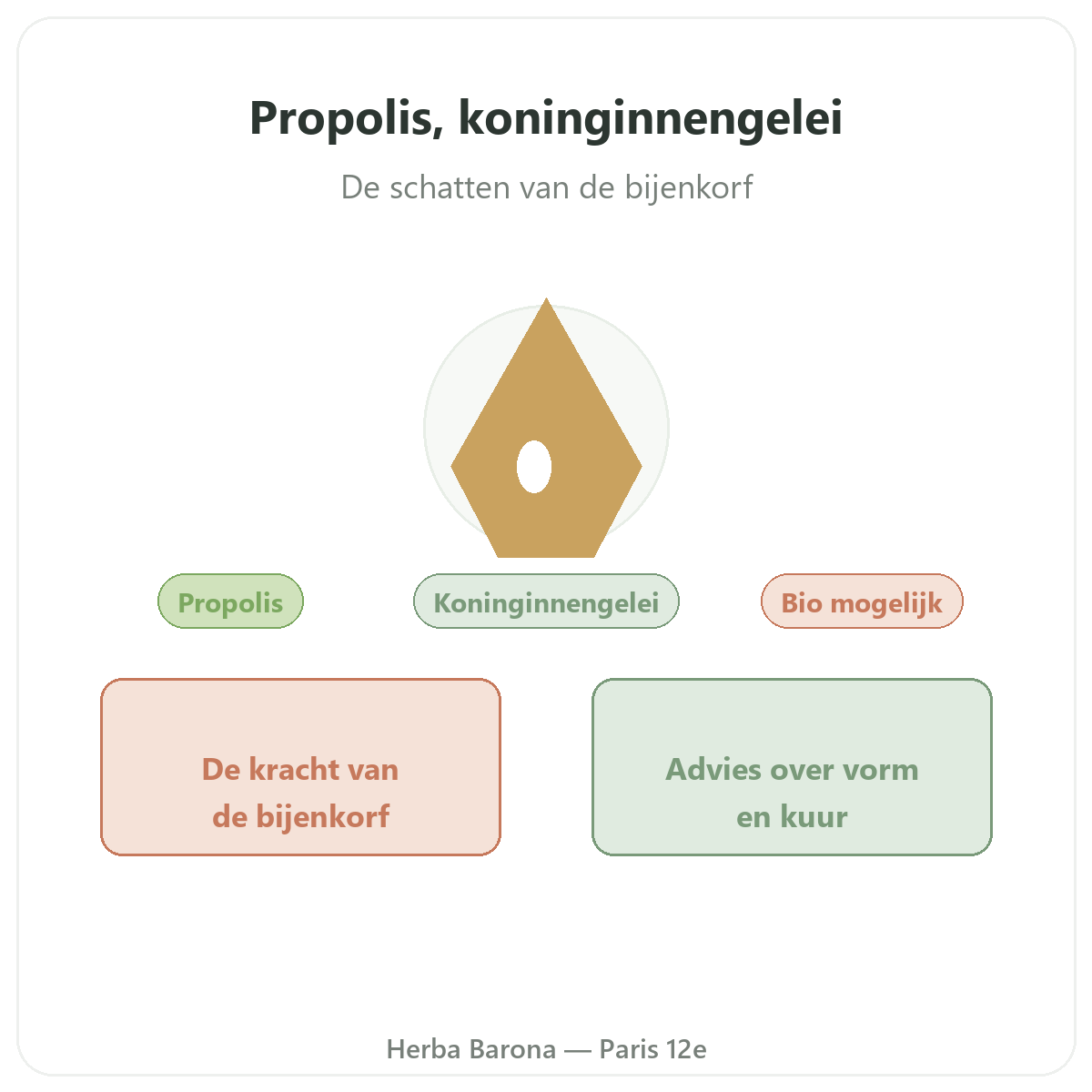 Propolis en koninginnengelei Parijs - voorstelling van het merk bij Herba Barona Parijs 12e