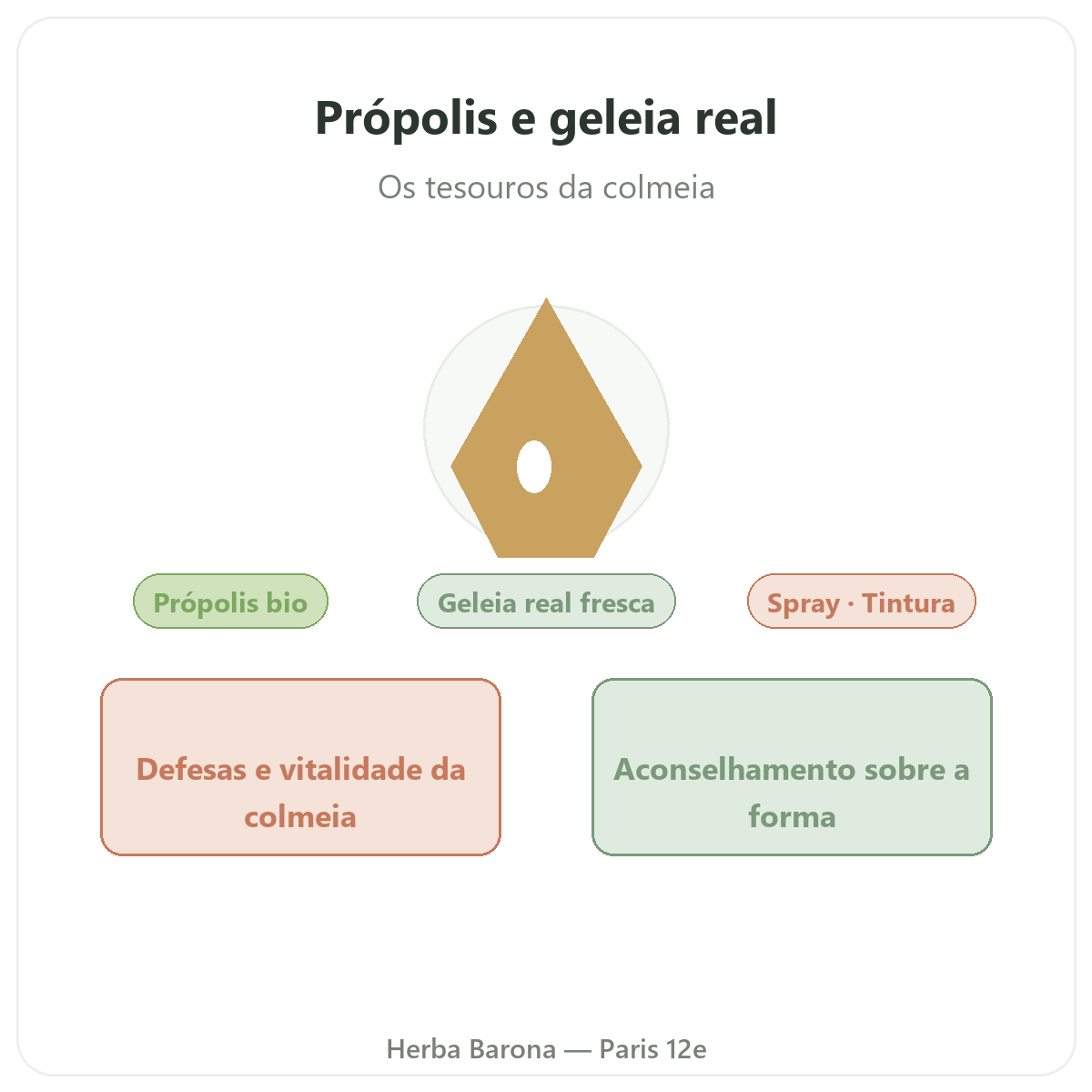 Própolis e geleia real fresca Paris - apresentação da marca na Herba Barona Paris 12e