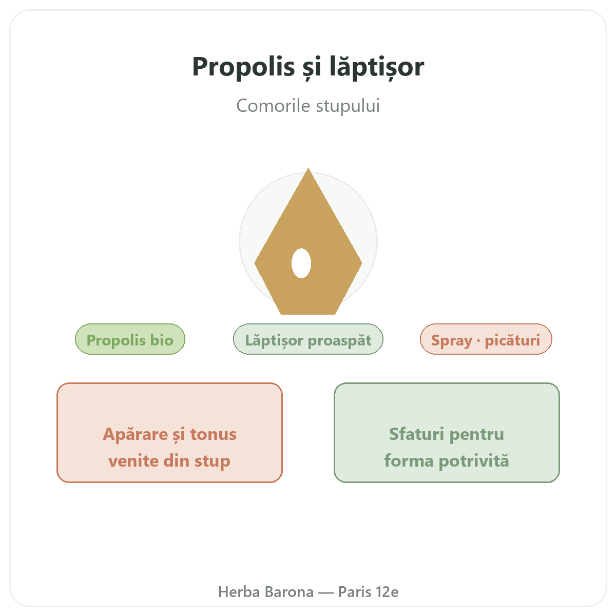 Propolis lăptișor de matcă Paris - prezentarea brandului la Herba Barona Paris, arondismentul 12