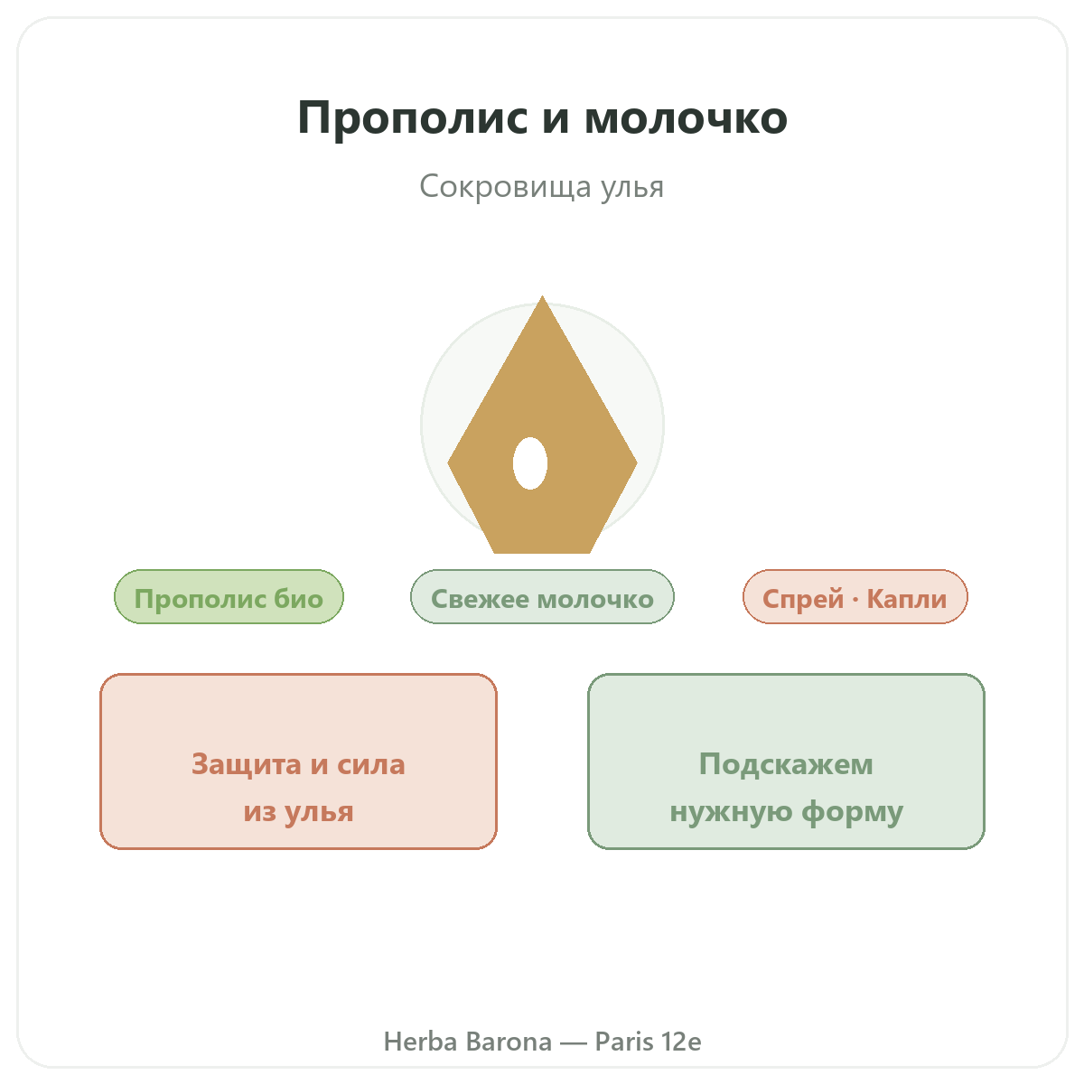 Прополис маточное молочко Париж — презентация бренда в Herba Barona, Париж, 12-й округ