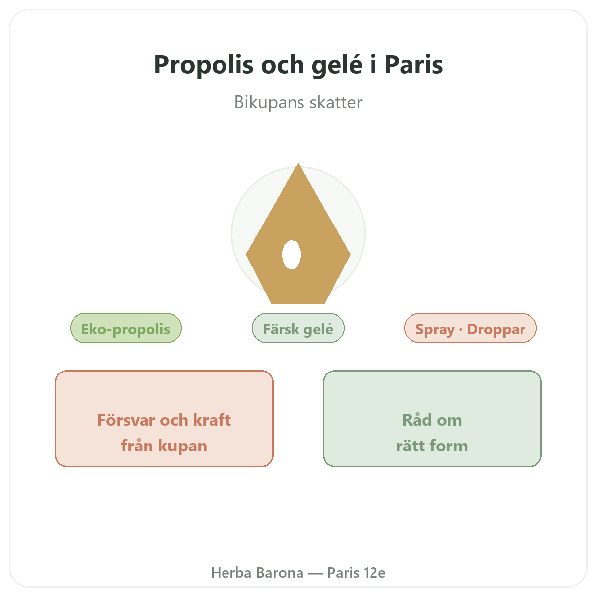 Propolis och gelée royale Paris - presentation av varumärket hos Herba Barona Paris 12e