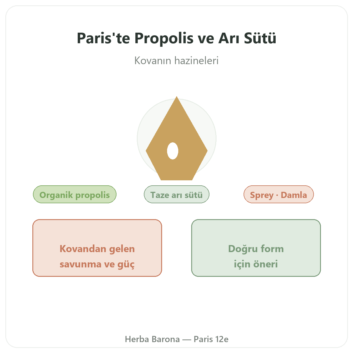 Propolis ve ari sütü Paris - Herba Barona Paris 12. bölgede marka tanitimi