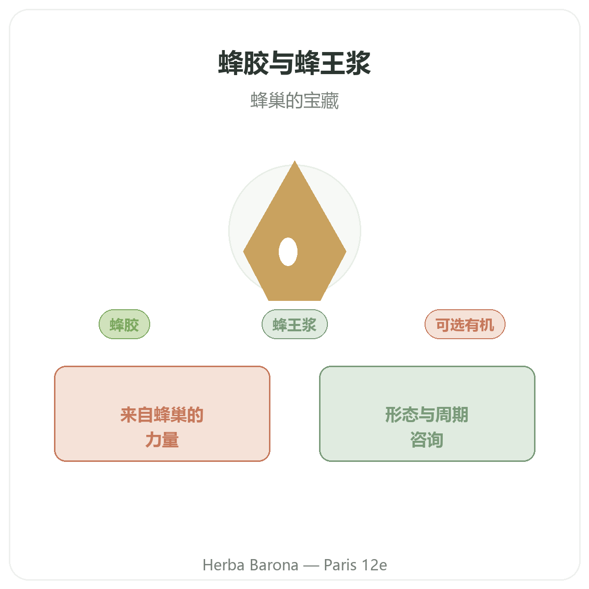 巴黎蜂胶与蜂王浆 —— Herba Barona巴黎12区门店品牌介绍