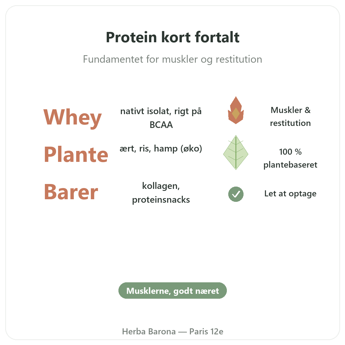 Protein whey vegetabilsk Paris Paris kort fortalt - nøgletal hos Herba Barona Paris 12