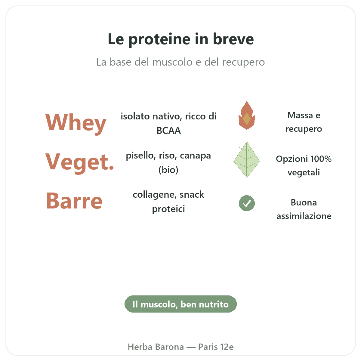 Proteine whey vegetale Parigi Parigi in breve - dati chiave da Herba Barona Paris 12e