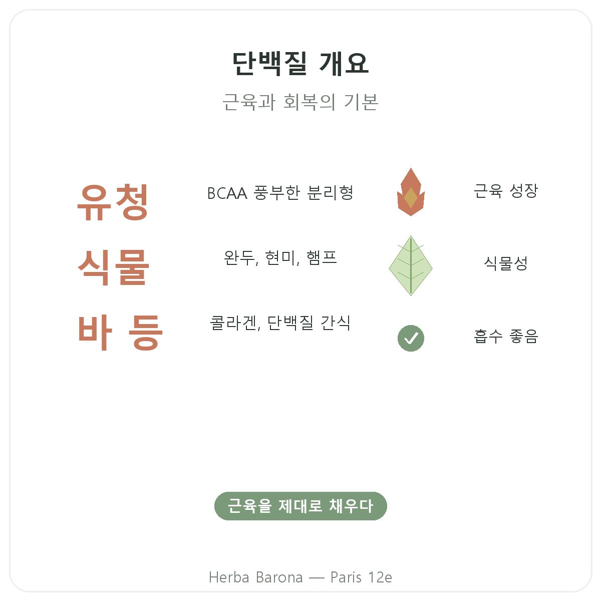 웨이 식물성 단백질 파리 요약 - Herba Barona 파리 12구 주요 정보