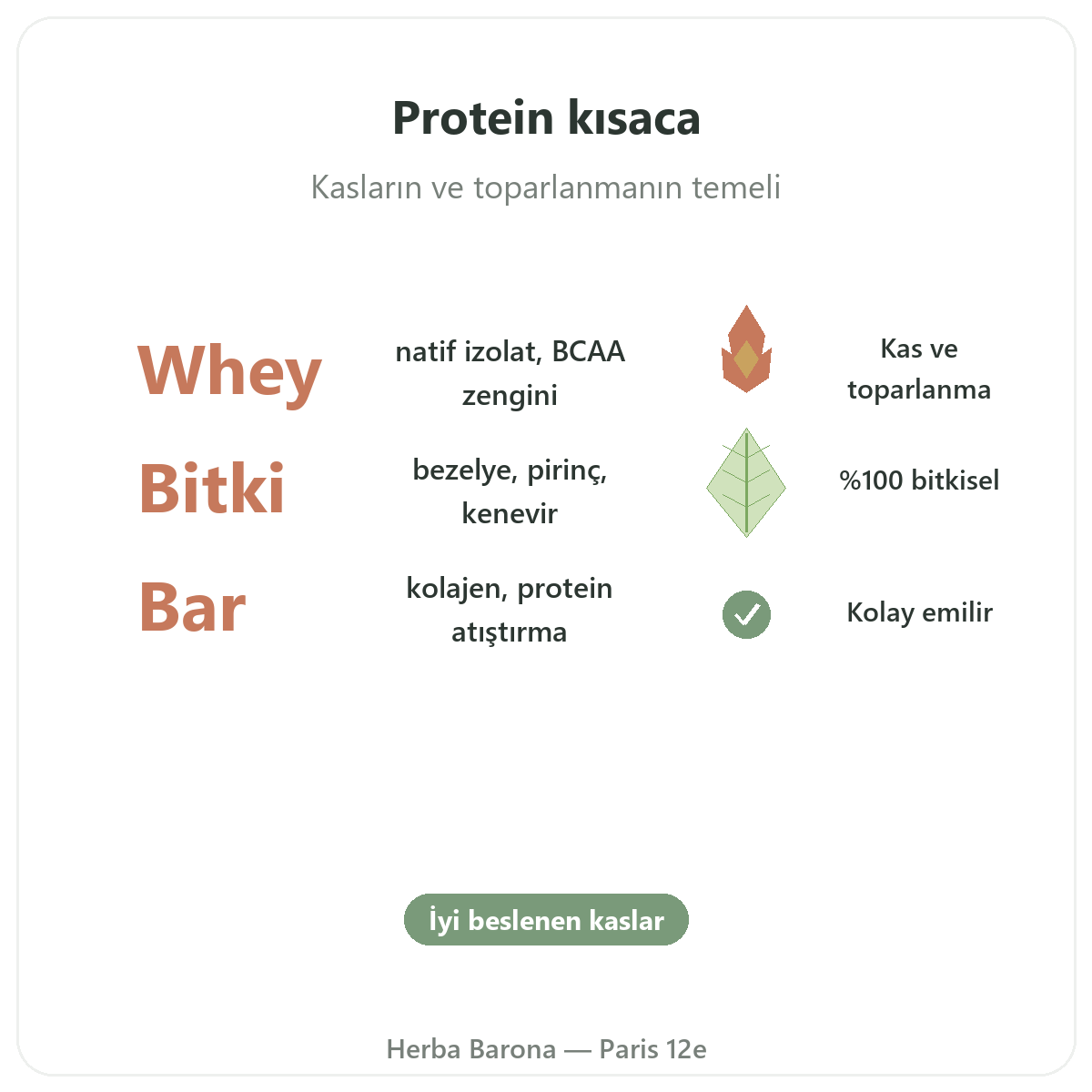 Paris proteinler kısaca — önemli rakamlar, Herba Barona Paris 12. bölge