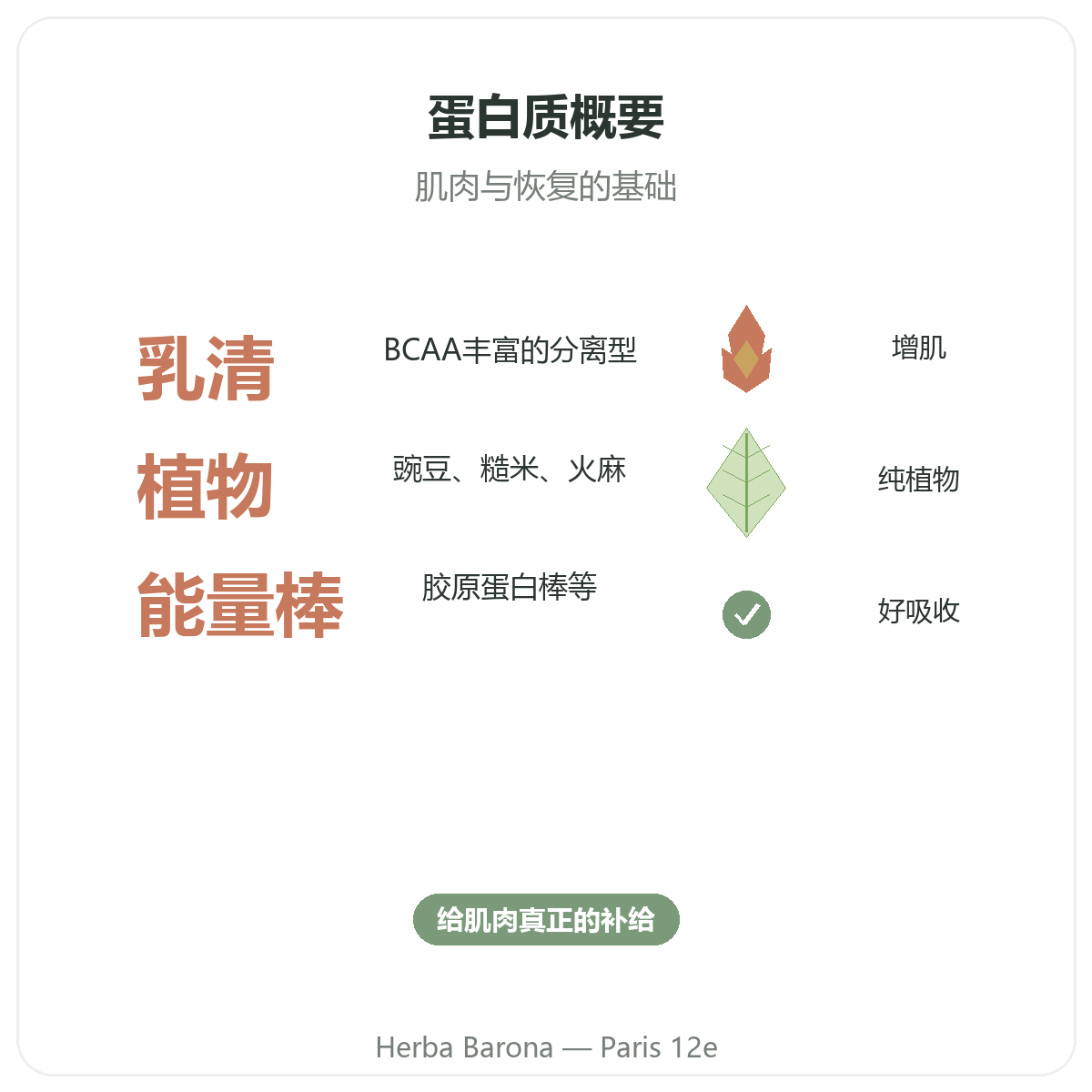 巴黎乳清与植物蛋白质概览 —— Herba Barona巴黎12区门店关键数据