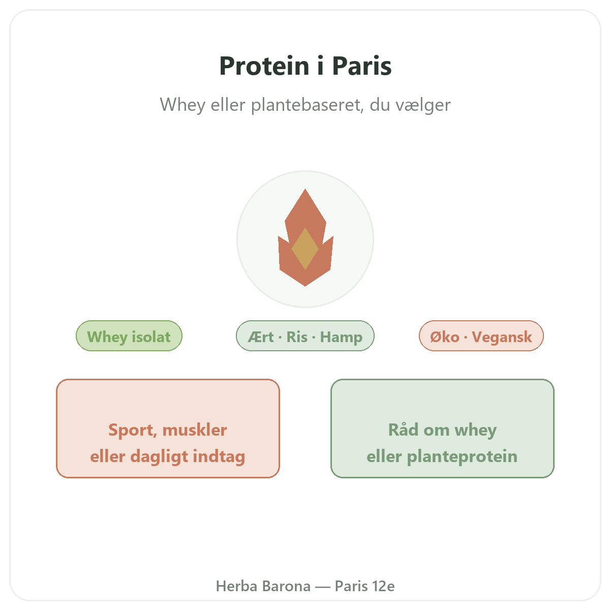 Protein whey vegetabilsk Paris Paris - præsentation af mærket hos Herba Barona Paris 12