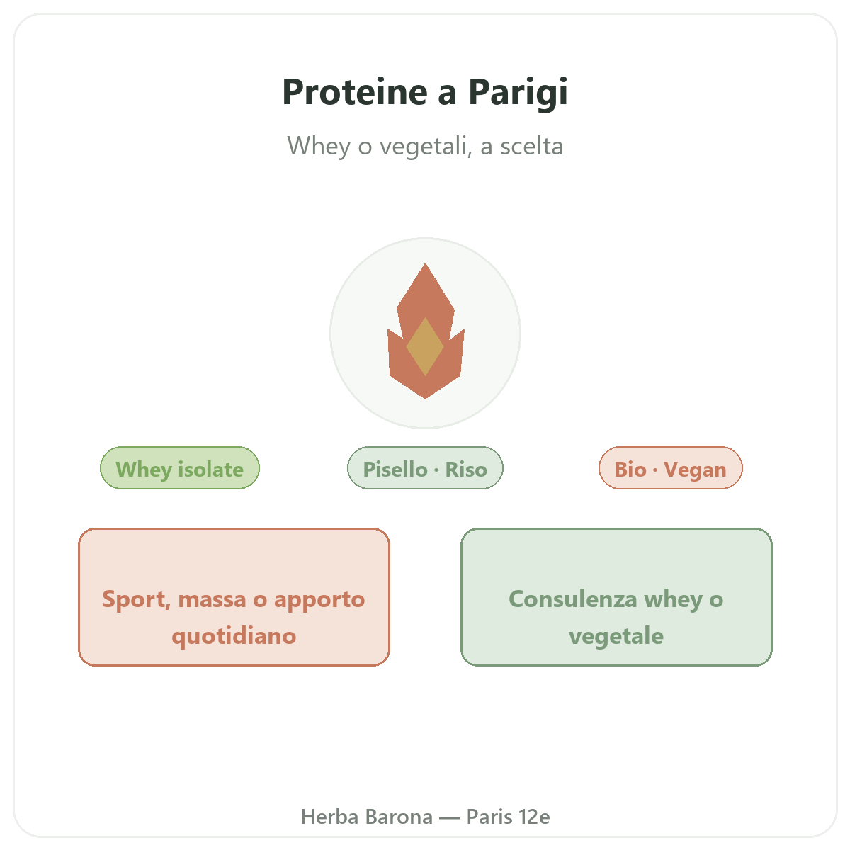 Proteine whey vegetale Parigi Parigi - presentazione del marchio da Herba Barona Paris 12e