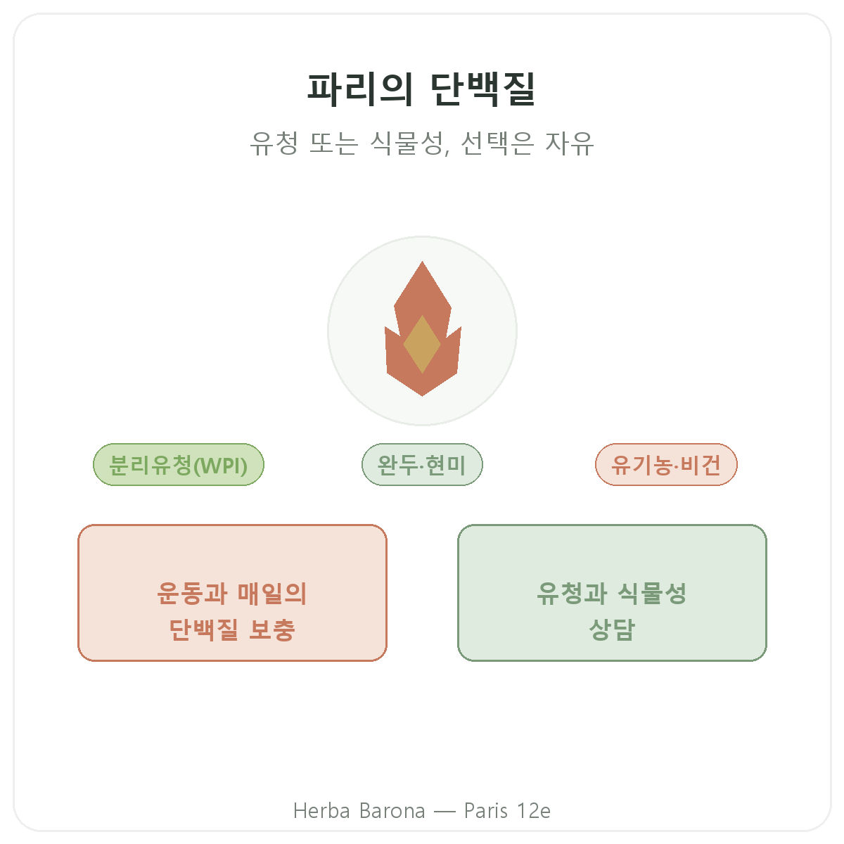 웨이 식물성 단백질 파리 - Herba Barona 파리 12구 브랜드 소개