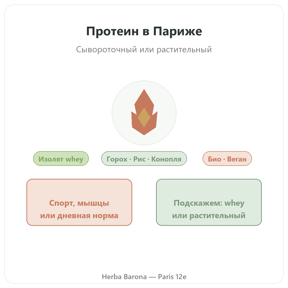 Белки whey растительные Париж — презентация бренда в Herba Barona, Париж, 12-й округ