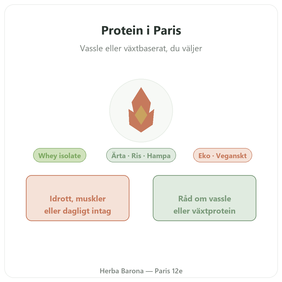 Protein whey vegetabiliskt Paris - presentation av varumärket hos Herba Barona Paris 12e