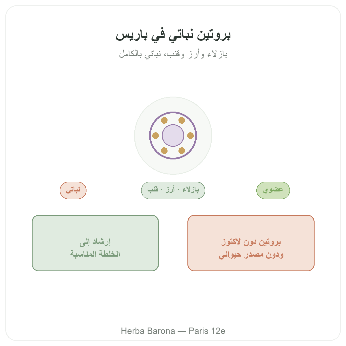 البروتينات النباتية في باريس - تقديم العلامة لدى Herba Barona باريس 12