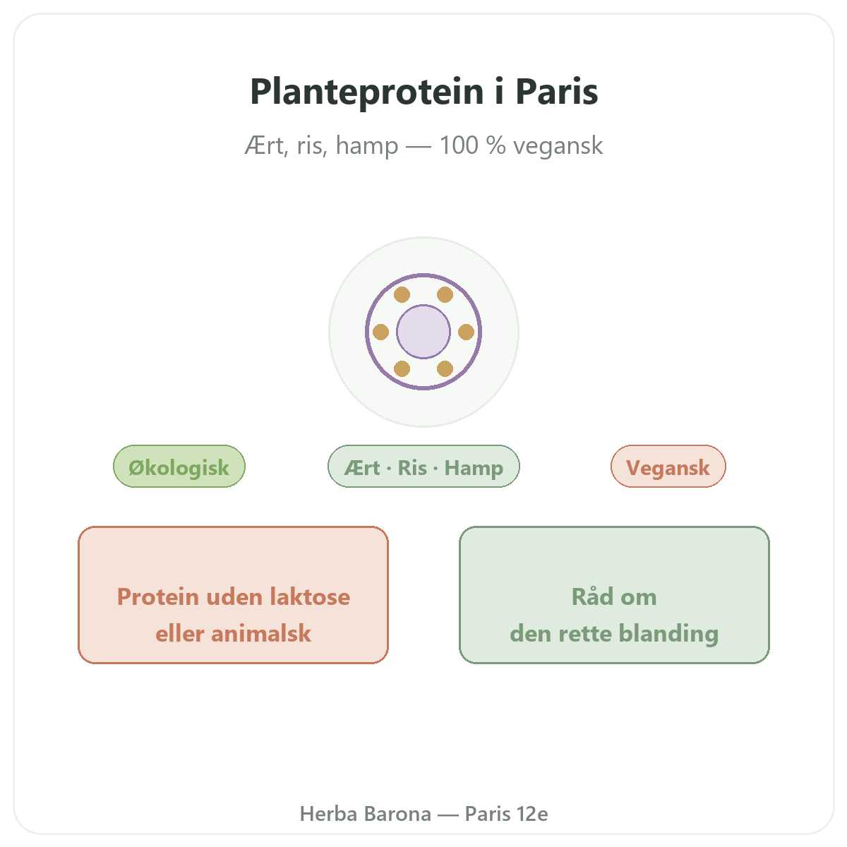 Vegetabilske proteiner Paris - præsentation af mærket hos Herba Barona Paris 12