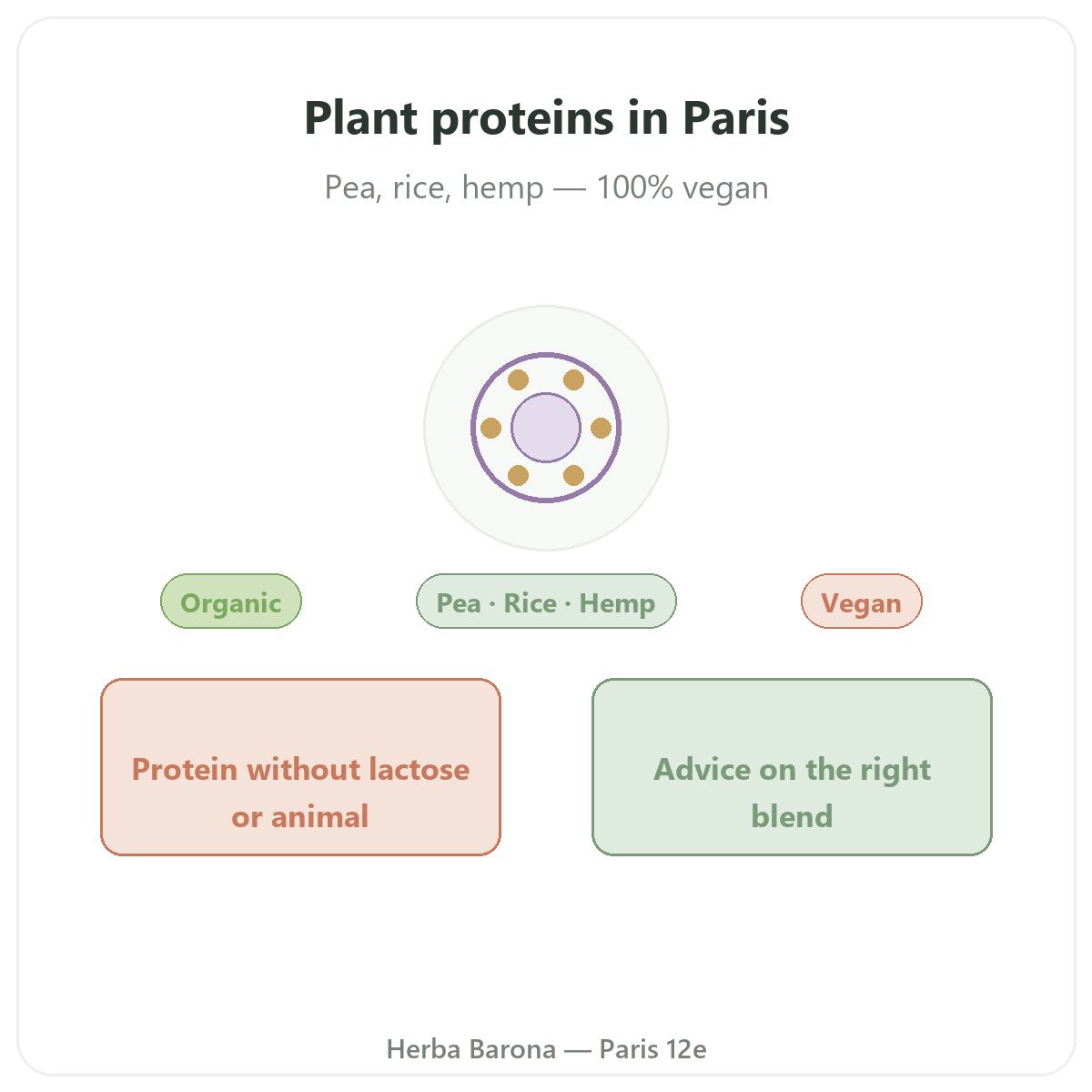 Plant proteins in Paris - brand presentation at Herba Barona Paris 12th