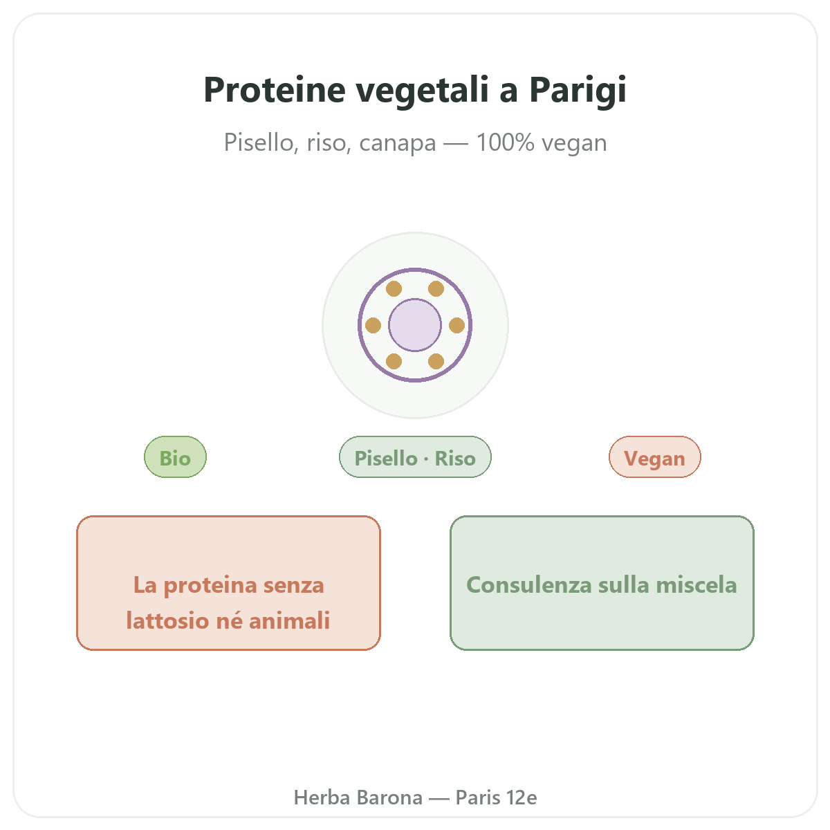 Proteine vegetali a Parigi - presentazione del marchio da Herba Barona Parigi 12e