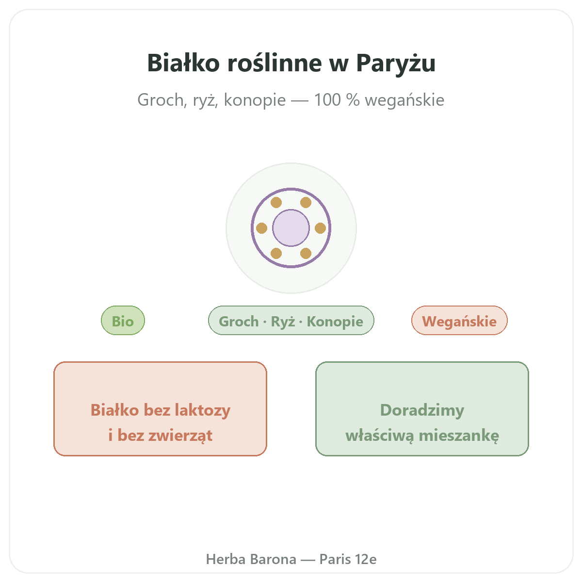 Białka roślinne w Herba Barona - prezentacja marki w sklepie w Paryżu