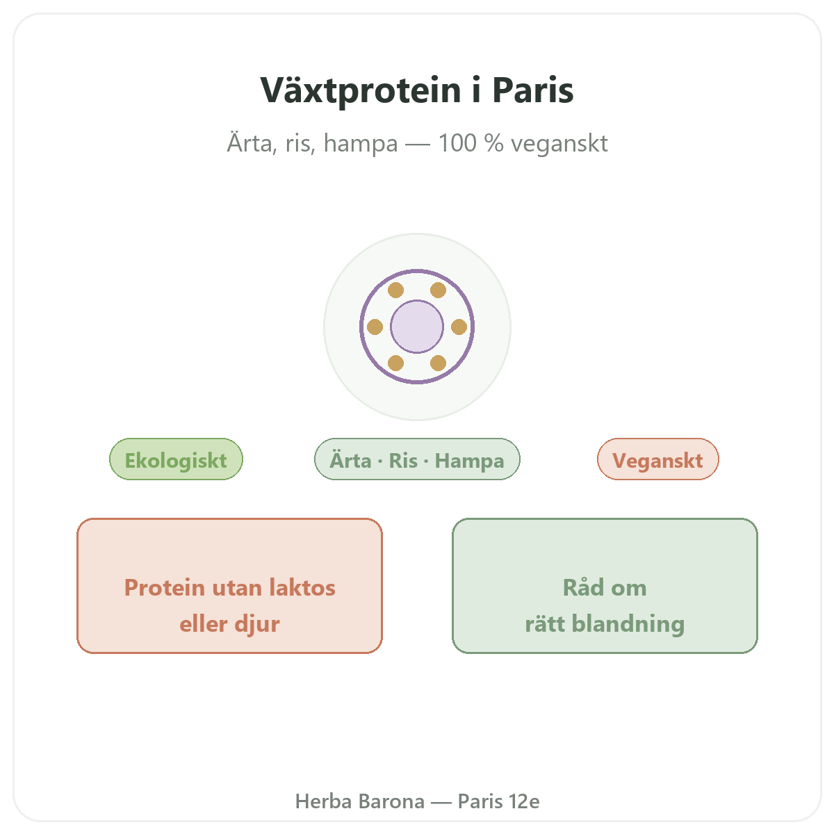 Växtprotein Paris - presentation av varumärket hos Herba Barona Paris 12e