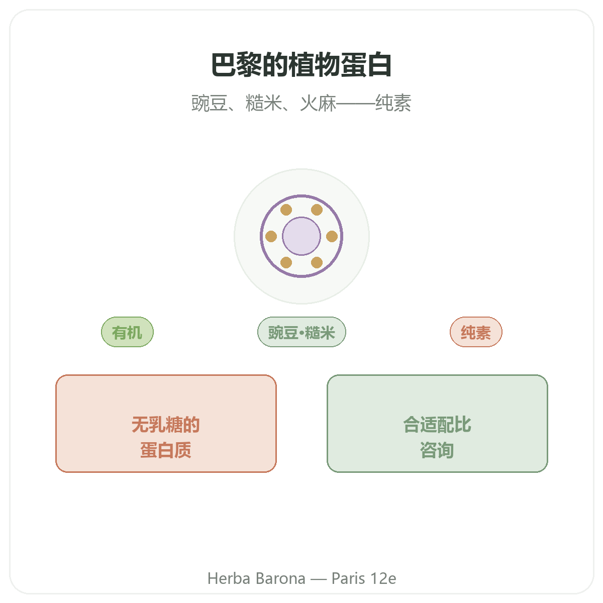 巴黎植物蛋白 —— Herba Barona巴黎12区门店品牌介绍