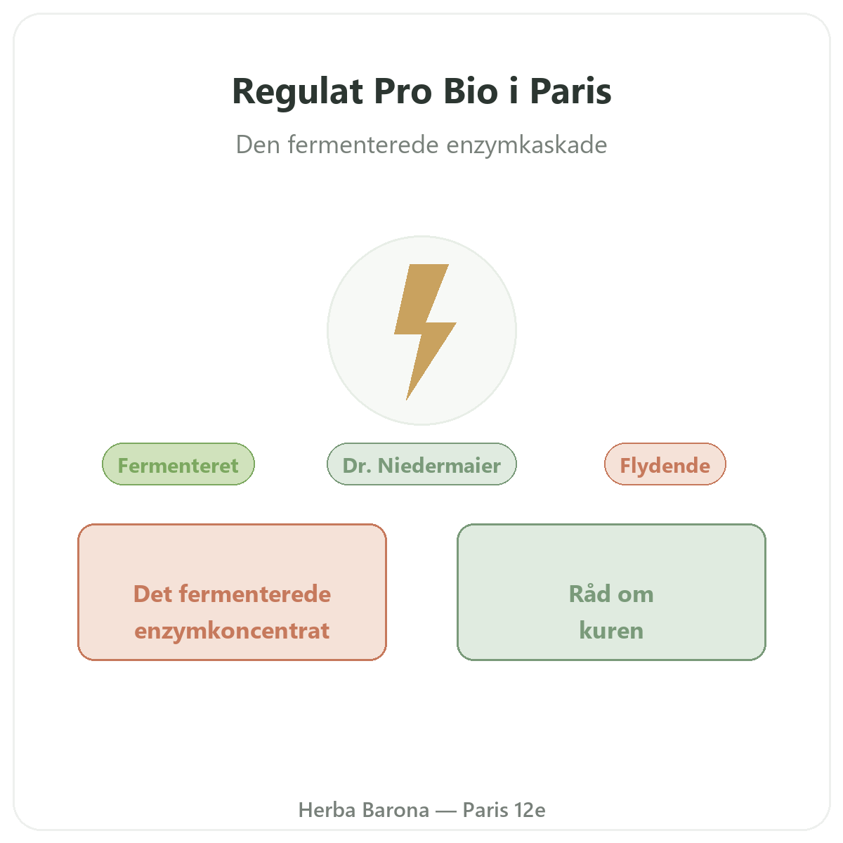 Regulat Pro Bio Paris Paris - præsentation af mærket hos Herba Barona Paris 12