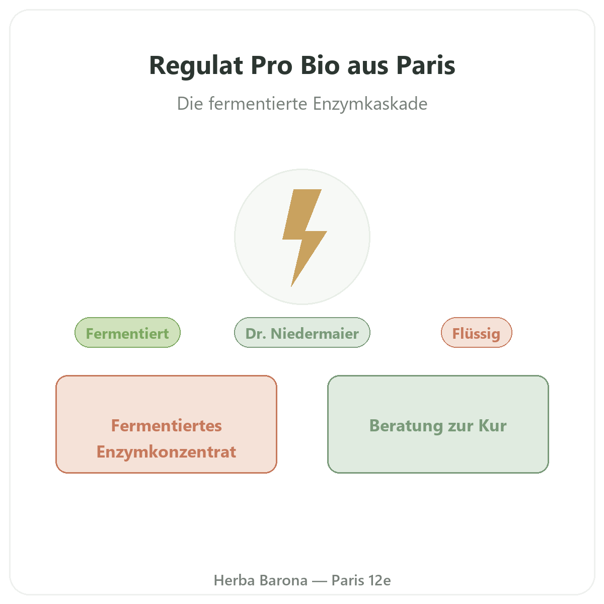 Regulat Pro Bio Paris – Markenvorstellung bei Herba Barona Paris 12e