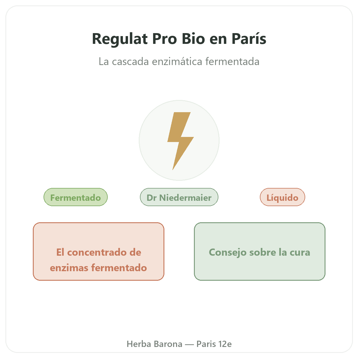 Regulat Pro Bio París - presentación de la marca en Herba Barona París 12e