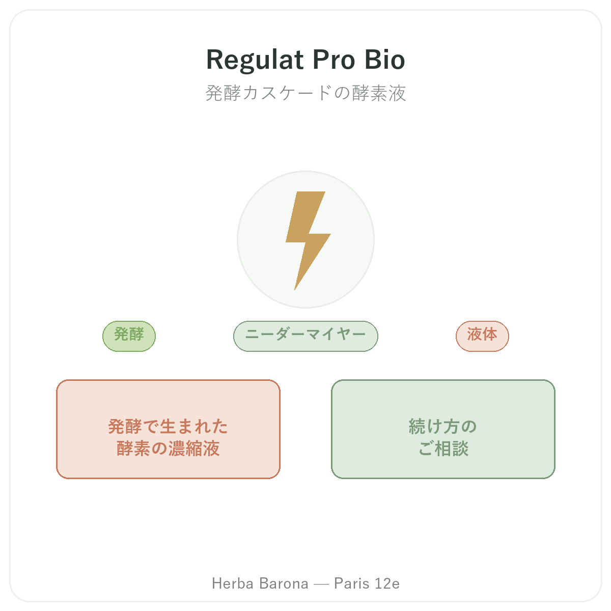 Regulat Pro Bio パリ - Herba Baronaパリ12区でのブランド紹介