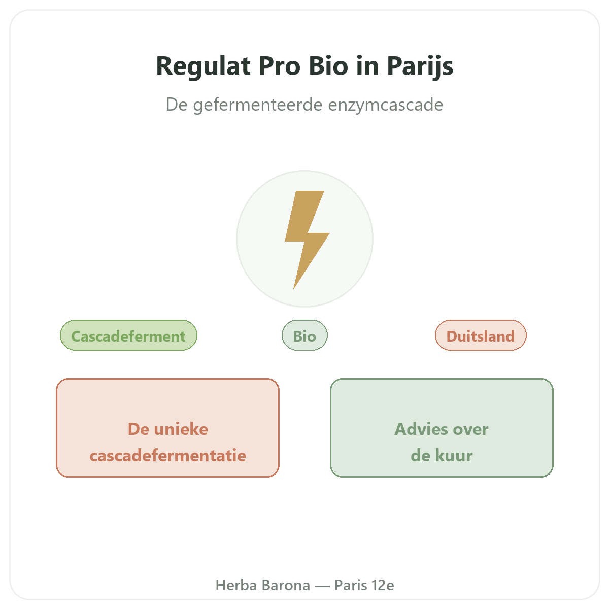 Regulat Pro Bio Parijs - voorstelling van het merk bij Herba Barona Parijs