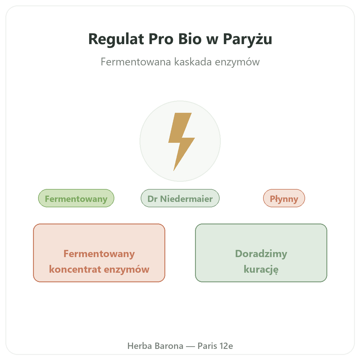 Regulat Pro Bio Paryż – prezentacja marki w Herba Barona, Paryż 12
