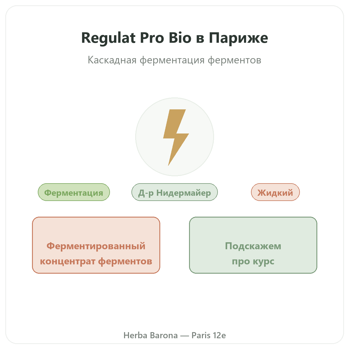 Regulat Pro Bio Париж — презентация бренда в Herba Barona, Париж, 12-й округ