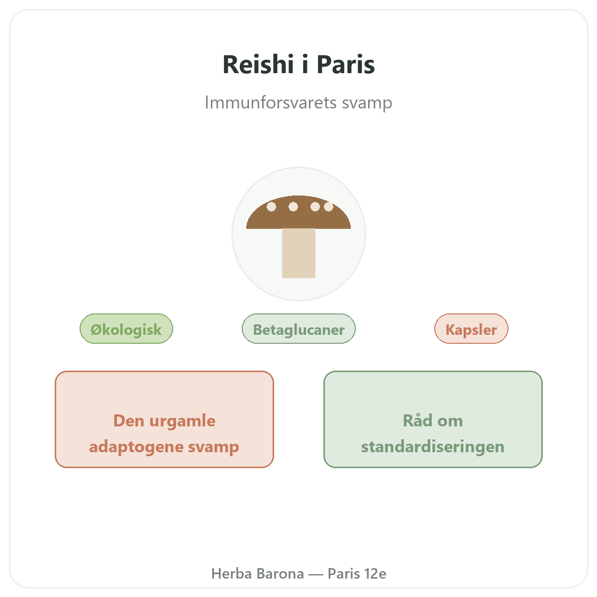 Reishi Paris Paris - præsentation af mærket hos Herba Barona Paris 12