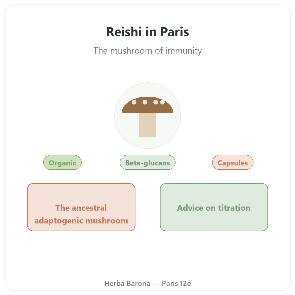 Reishi in Paris - brand overview at Herba Barona Paris 12th