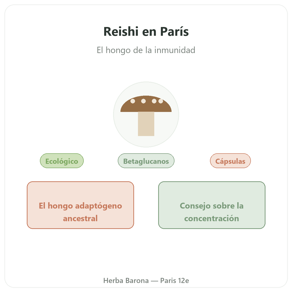 Reishi en París - presentación de la marca en Herba Barona París 12e