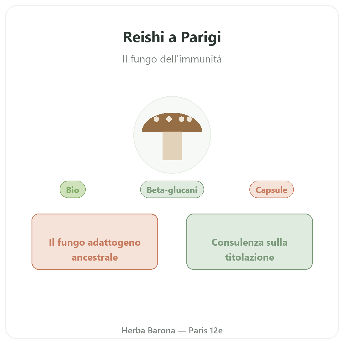 Reishi Parigi - presentazione del marchio da Herba Barona Parigi 12e