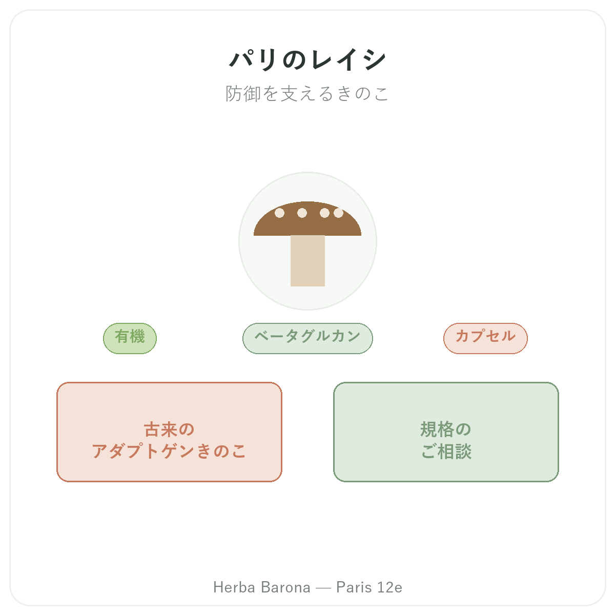 霊芝 パリ - Herba Baronaのブランド紹介 パリ12区
