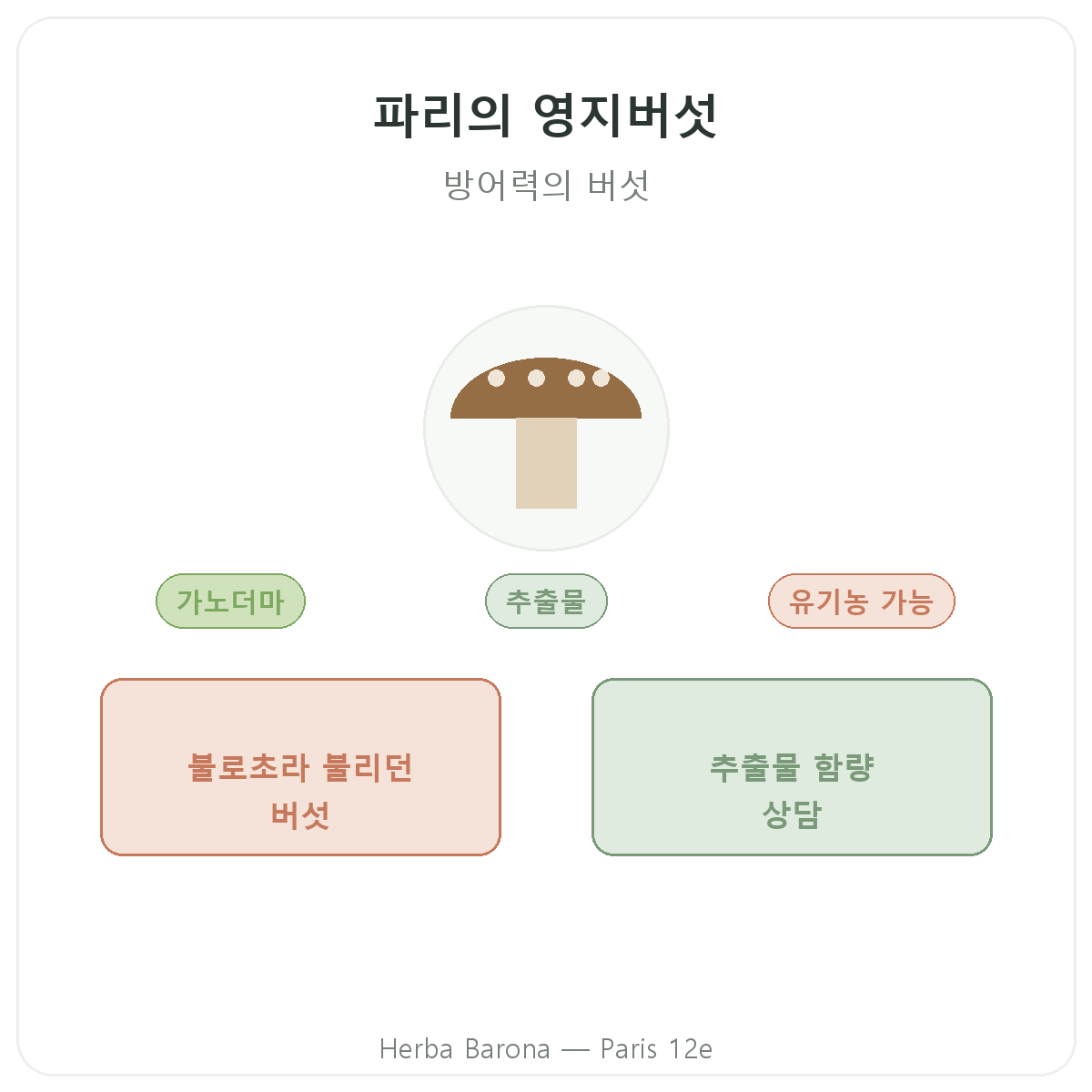 영지버섯 파리 - Herba Barona 파리 12구 브랜드 소개
