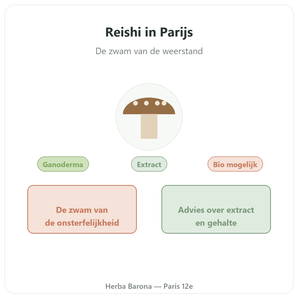 Reishi Paris Paris - presentation de la marque chez Herba Barona Paris 12e