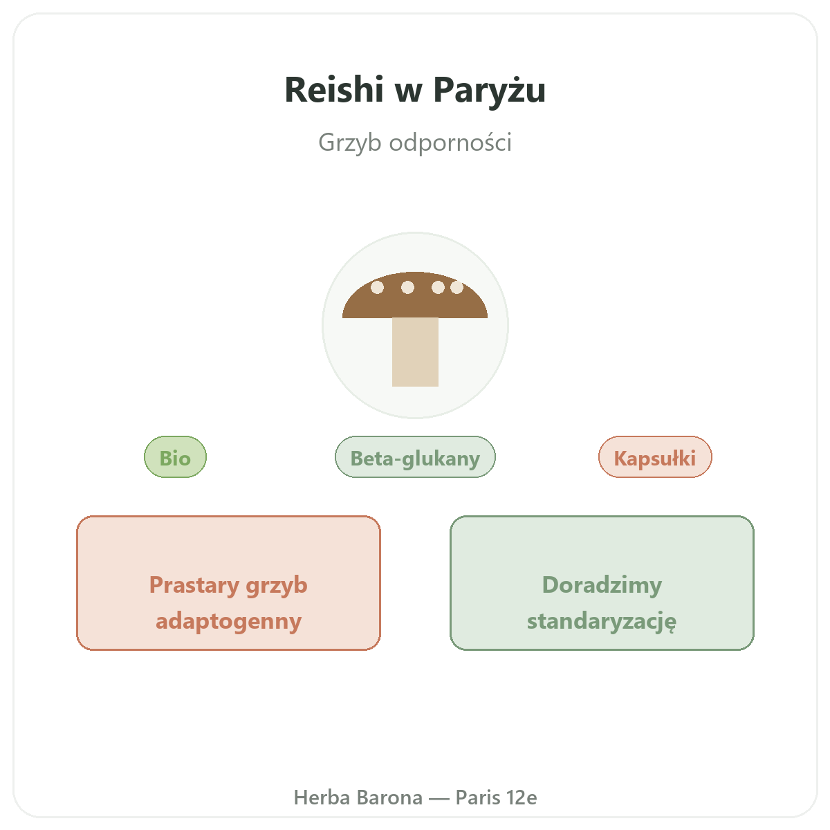 Reishi Paryż – prezentacja marki w Herba Barona, Paryż 12