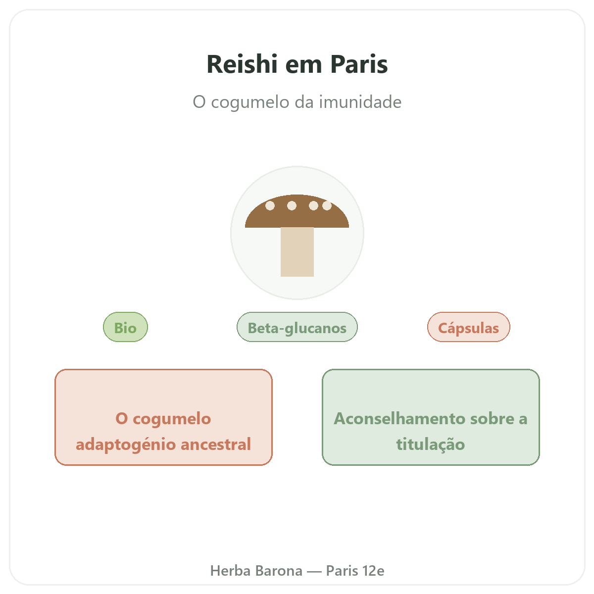Reishi Paris - apresentação da marca na Herba Barona Paris 12e