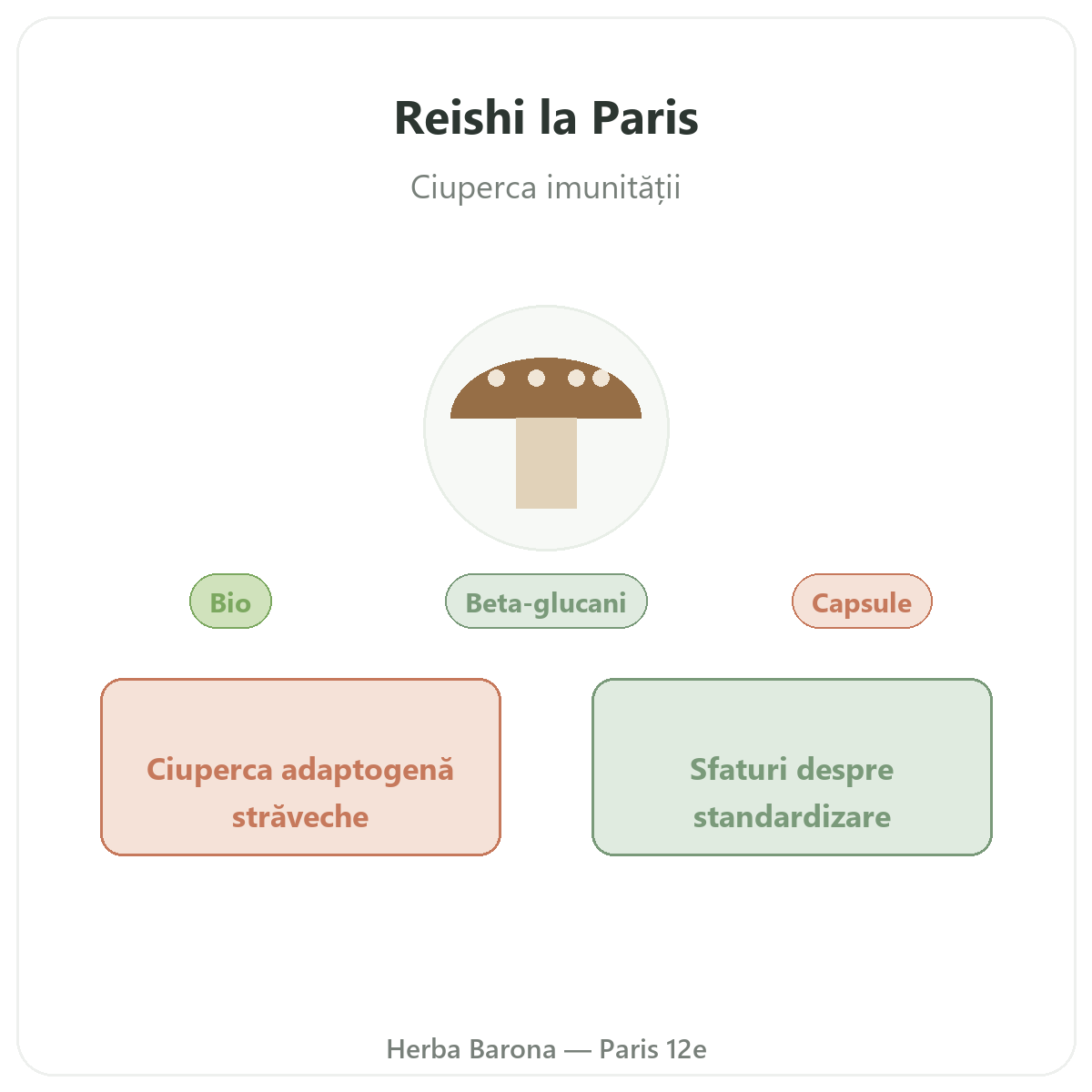 Reishi Paris — prezentarea mărcii la Herba Barona Paris 12e