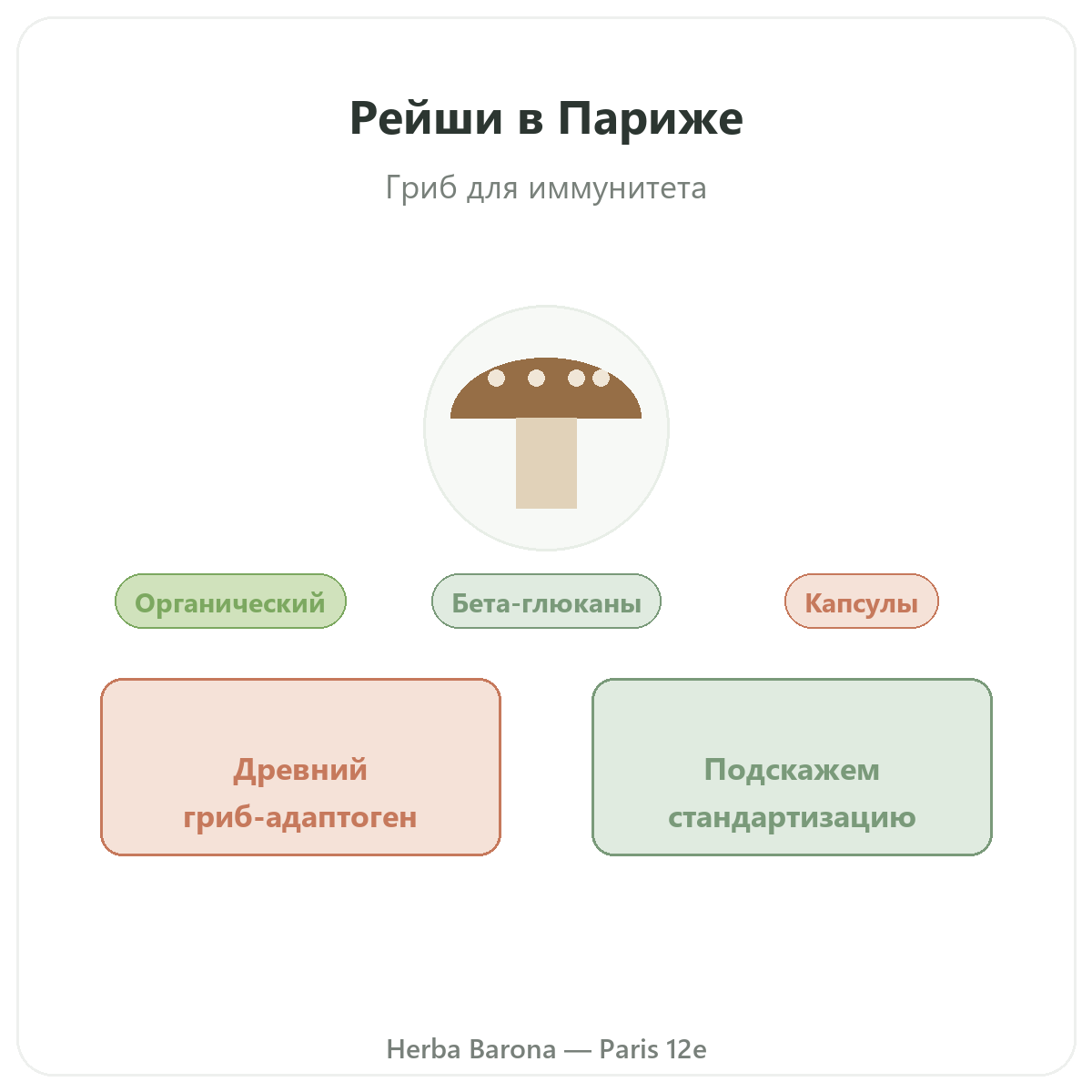 Reishi Париж — презентация бренда в Herba Barona, Париж, 12-й округ