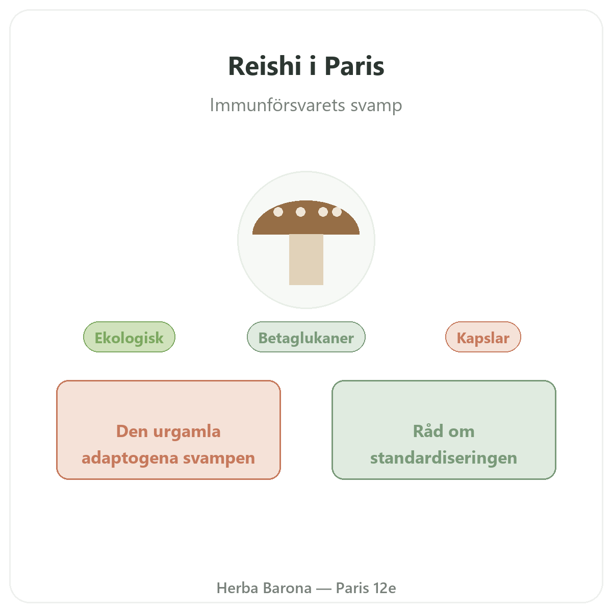 Reishi Paris – presentation av varumärket hos Herba Barona Paris 12e