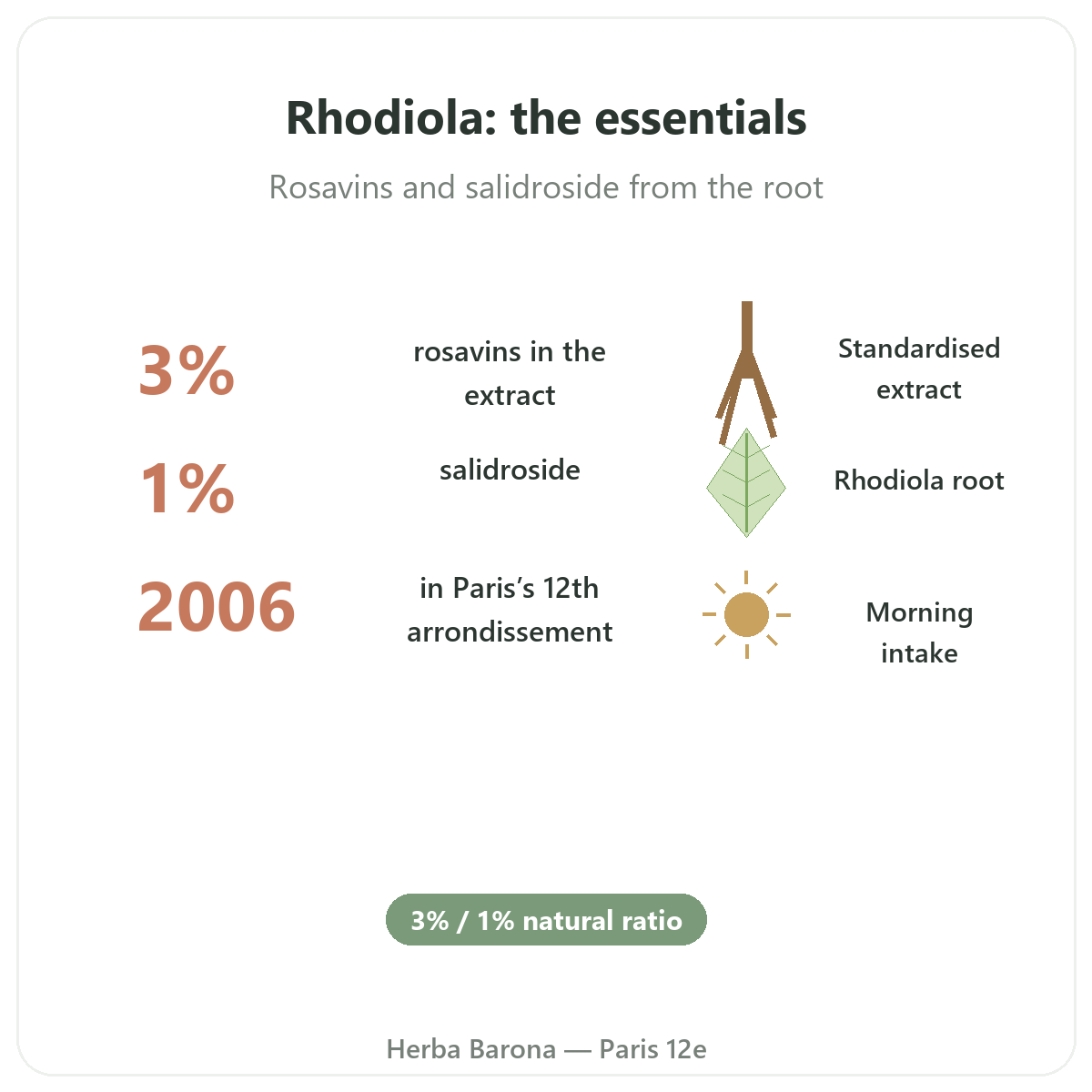 Rhodiola at a glance - key figures at Herba Barona Paris 12e