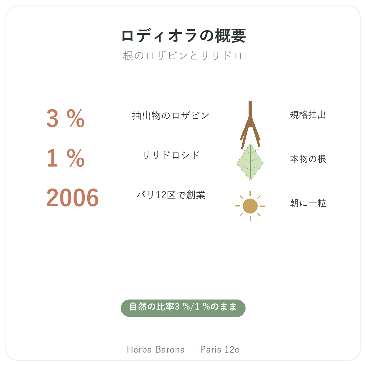 ロディオラについて早わかり - Herba Barona パリ12区の主要データ