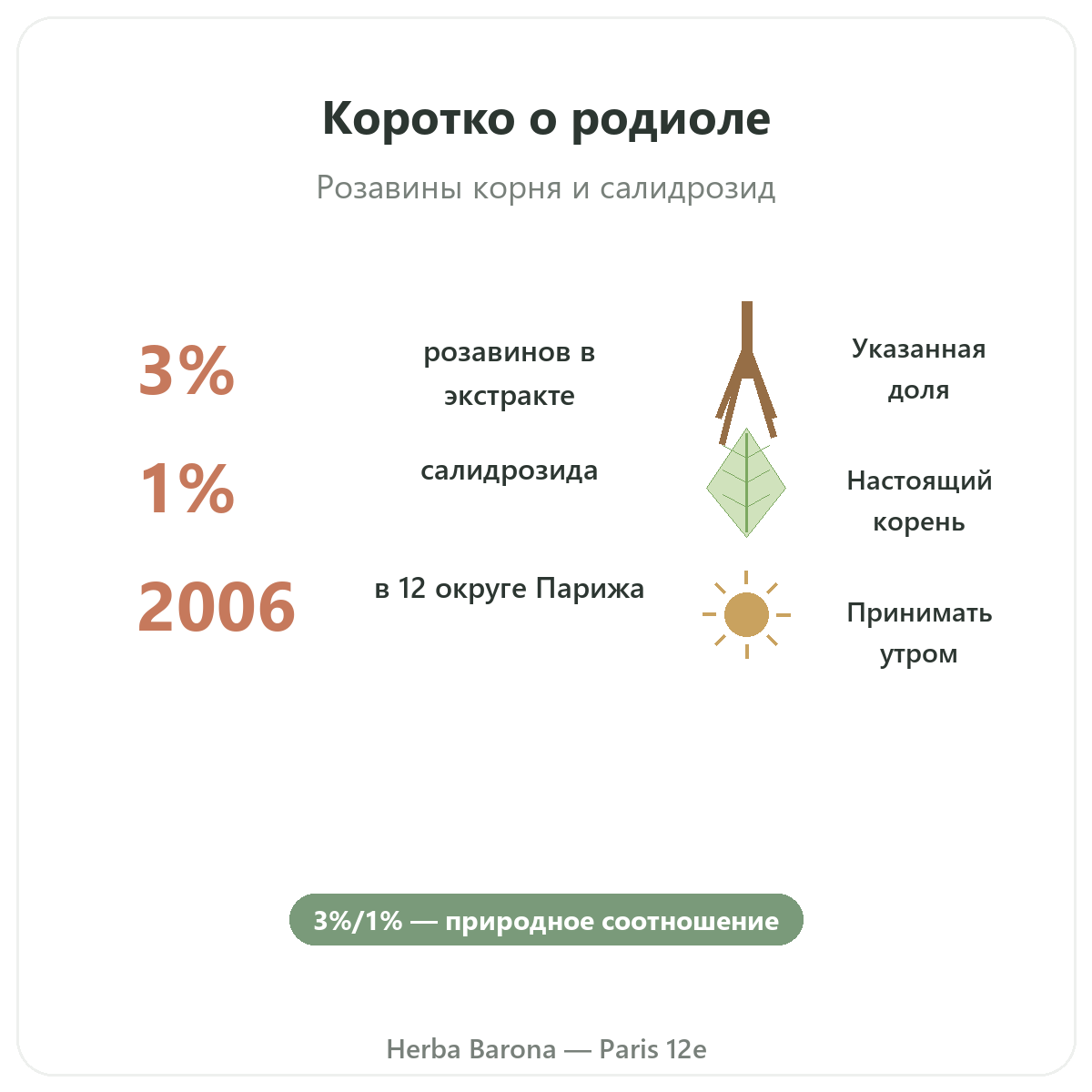 Rhodiola вкратце - ключевые цифры в магазине Herba Barona Париж, 12-й округ